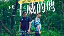 中字头午后冲高回落，沪指跌1.83%